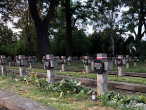 prace porządkowe na piotrkowskim cmentarzu wojennym