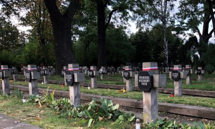 prace porządkowe na piotrkowskim cmentarzu wojennym