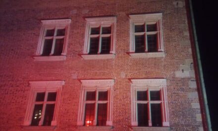 Międzynarodowy Dzień Przeciwdziałania Przemocy wobec Dzieci